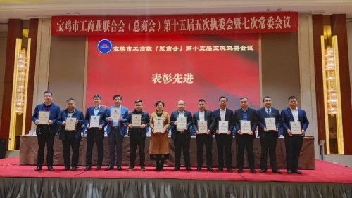 宝鸡市电子商务行业协会荣获全市“四好”商会荣誉称号