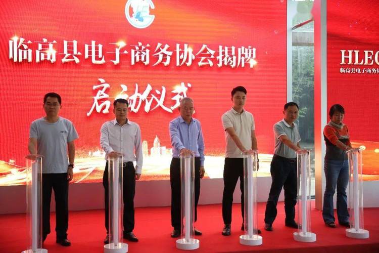 临高县电子商务协会正式成立 推动传统企业转型助力电商产业发展